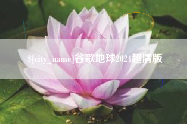 灌云谷歌地球2024超清版