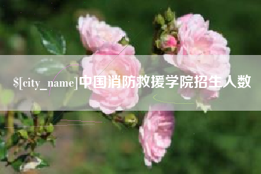 灌云中国消防救援学院招生人数