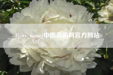 灌云中国消防网官方网站
