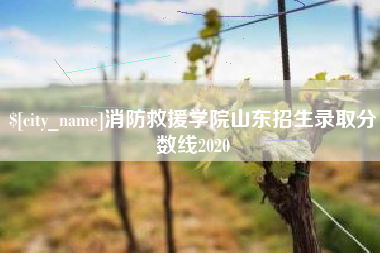 灌云消防救援学院山东招生录取分数线2020