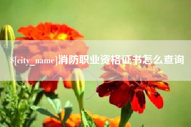 灌云消防职业资格证书怎么查询