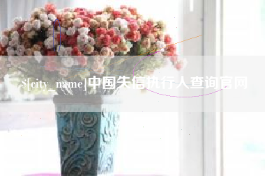 灌云中国失信执行人查询官网