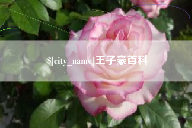 灌云王子豪百科