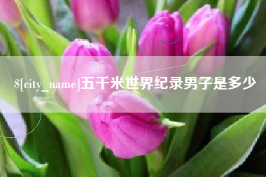 灌云五千米世界纪录男子是多少