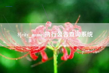 灌云执行公告查询系统