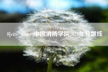 灌云中国消防学院2024年分数线