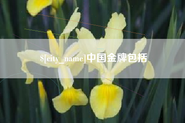 灌云中国金牌包括
