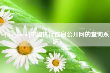 灌云中国执行信息公开网的查询系统