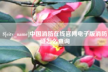灌云中国消防在线官网电子版消防证怎么查询