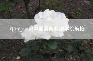 灌云中国消防救援学院航拍