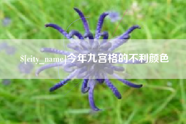 灌云今年九宫格的不利颜色