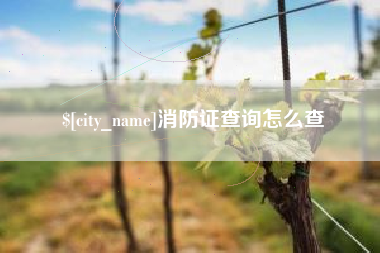 灌云消防证查询怎么查