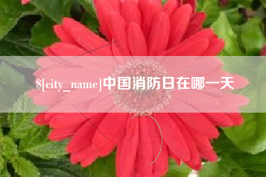 灌云中国消防日在哪一天