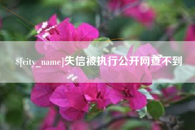 灌云失信被执行公开网查不到