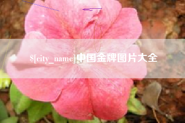 灌云中国金牌图片大全