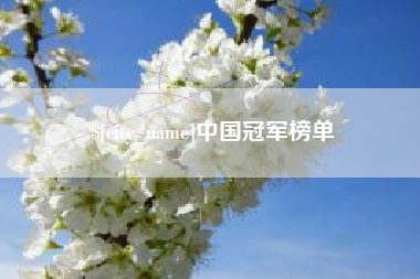 灌云中国冠军榜单