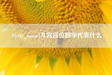 灌云九宫宫位数字代表什么