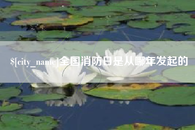 灌云全国消防日是从哪年发起的