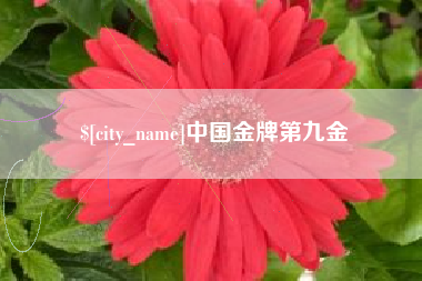 灌云中国金牌第九金