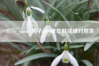 灌云男子5000米年龄成绩对照表