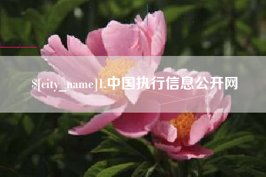 灌云1.中国执行信息公开网
