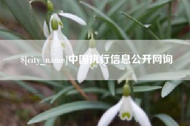 灌云中国执行信息公开网询