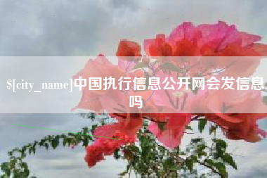 灌云中国执行信息公开网会发信息吗