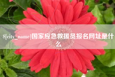 灌云国家应急救援员报名网址是什么