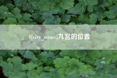 灌云九宫的位置