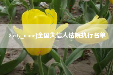 灌云全国失信人法院执行名单