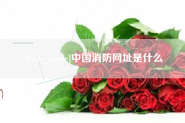 灌云中国消防网址是什么