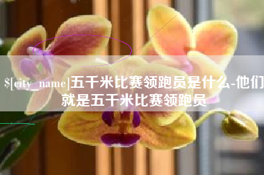 灌云五千米比赛领跑员是什么-他们就是五千米比赛领跑员