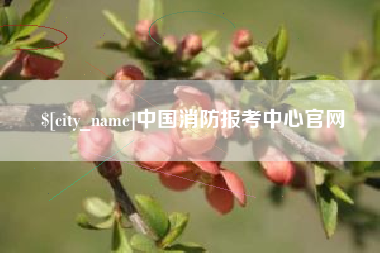 灌云中国消防报考中心官网