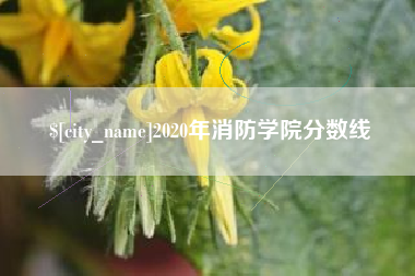 灌云2020年消防学院分数线