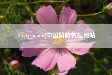 灌云中国消防救援网站