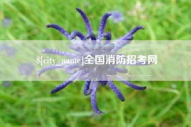灌云全国消防招考网