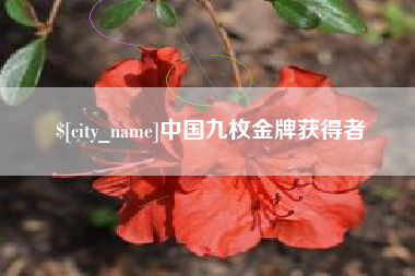 灌云中国九枚金牌获得者