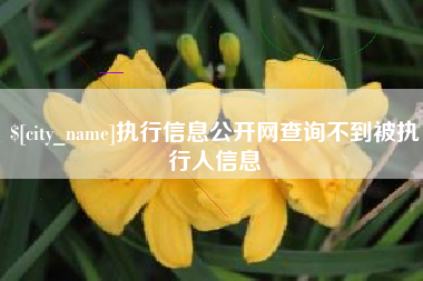 灌云执行信息公开网查询不到被执行人信息