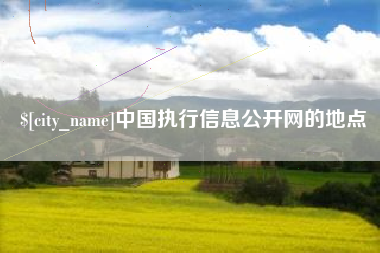 灌云中国执行信息公开网的地点