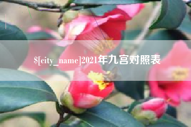 灌云2021年九宫对照表