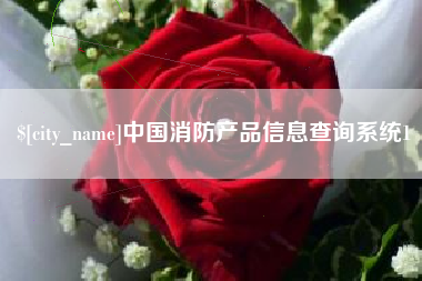 灌云中国消防产品信息查询系统1