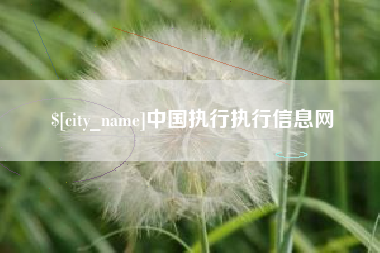灌云中国执行执行信息网