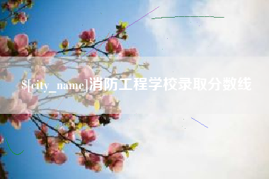 灌云消防工程学校录取分数线