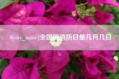 灌云全国的消防日是几月几日