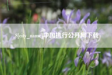 灌云中国执行公开网下载