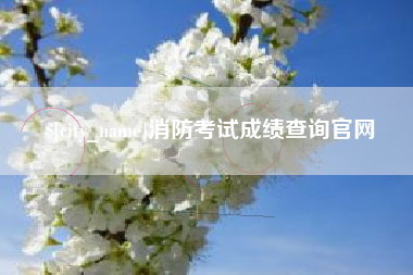 灌云消防考试成绩查询官网