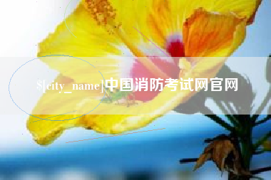 灌云中国消防考试网官网