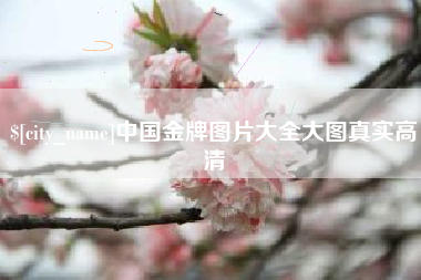 灌云中国金牌图片大全大图真实高清