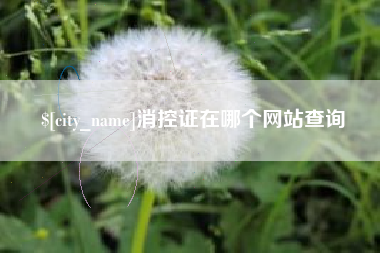 灌云消控证在哪个网站查询