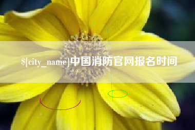 灌云中国消防官网报名时间